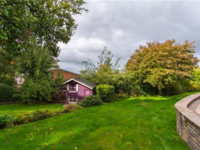 Picture 29